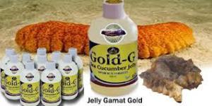 obat-herbal-jelly-gamat-gold-g